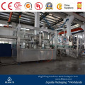Full-Automatic Complete Automatic Gas Drink Filling Line/Machine/Equipment
